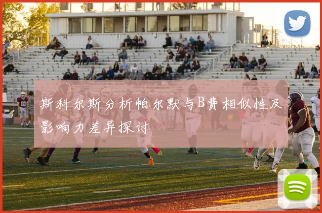 斯科尔斯分析帕尔默与B费相似性及影响力差异探讨